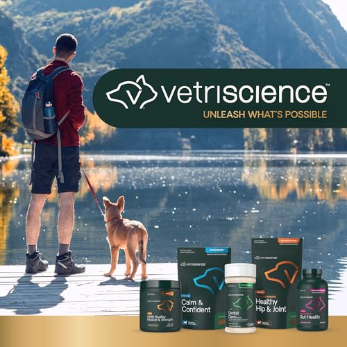 VetriScience Perio Plus chat : bouchées quotidiennes faciles à intégrer