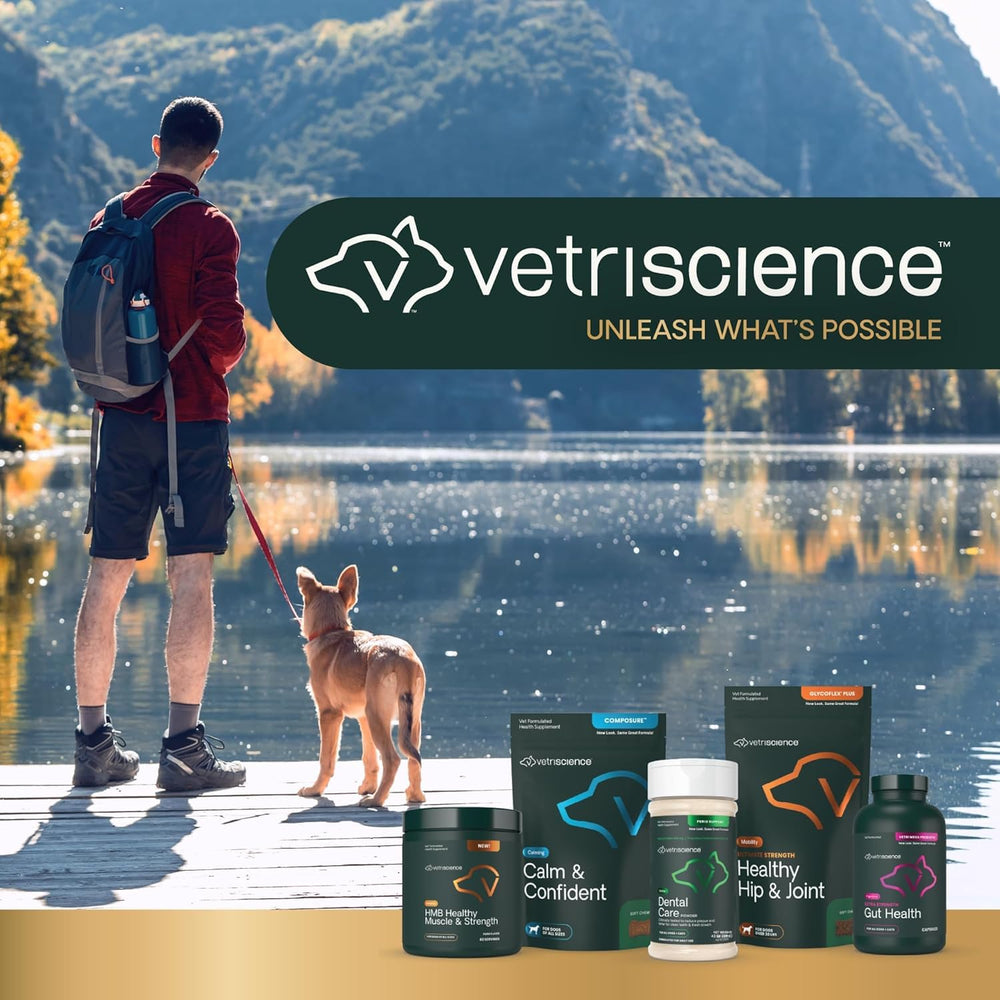 VetriScience Perio Plus chat : soutien des gencives pour une bouche équilibrée