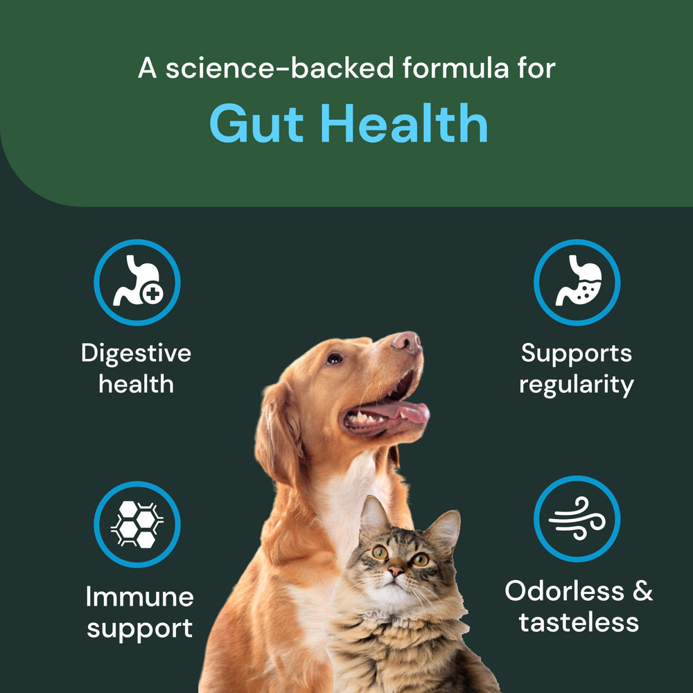 Probiotique VetriScience pour chien et chat, favorise digestion et confort.