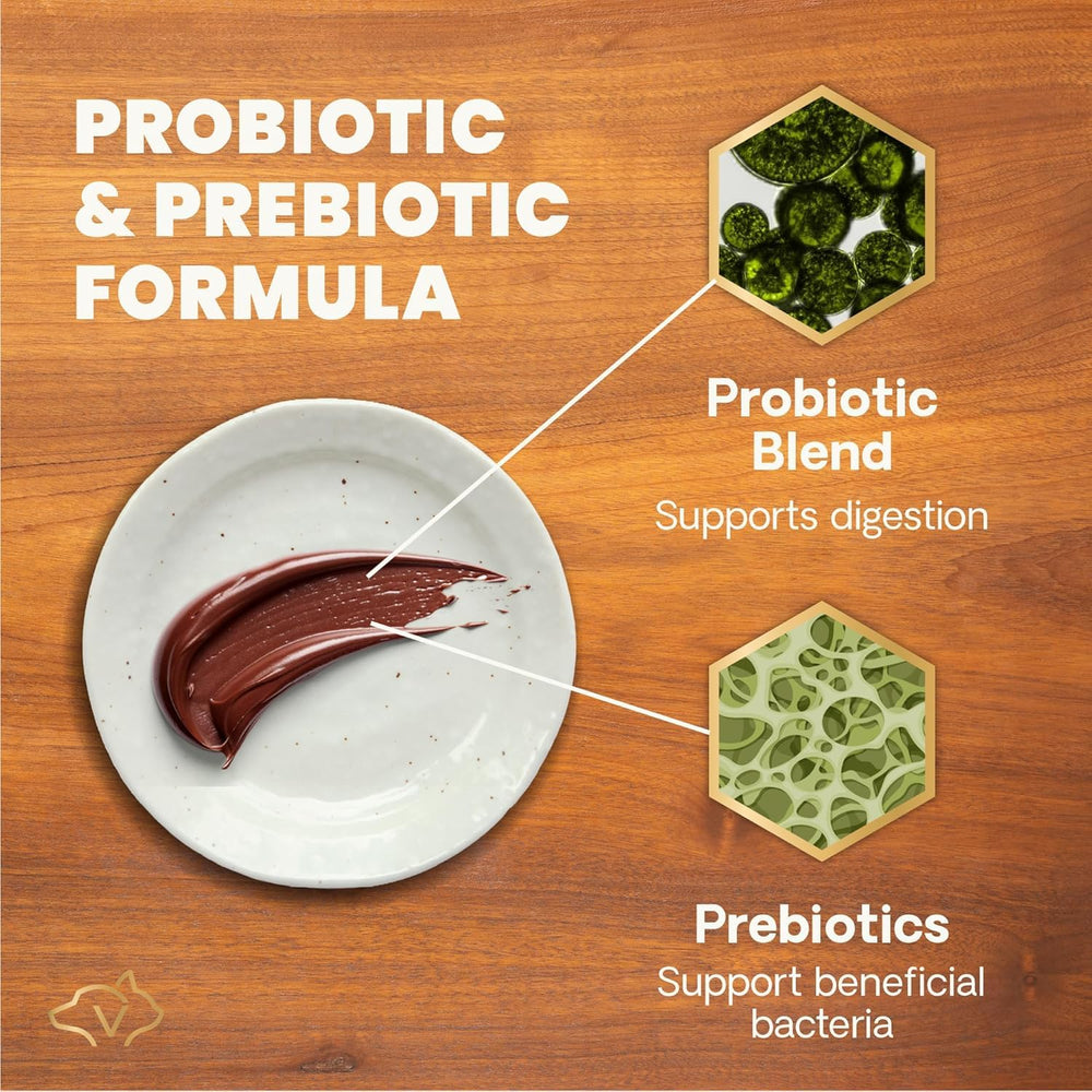 VETRISCIENCE PROBIOTIQUES STABLES B5 B6 B12 — soutien intestinal fiable.