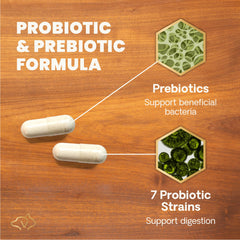 VetriScience Santé Intestinale – application facile sur la nourriture quotidienne.