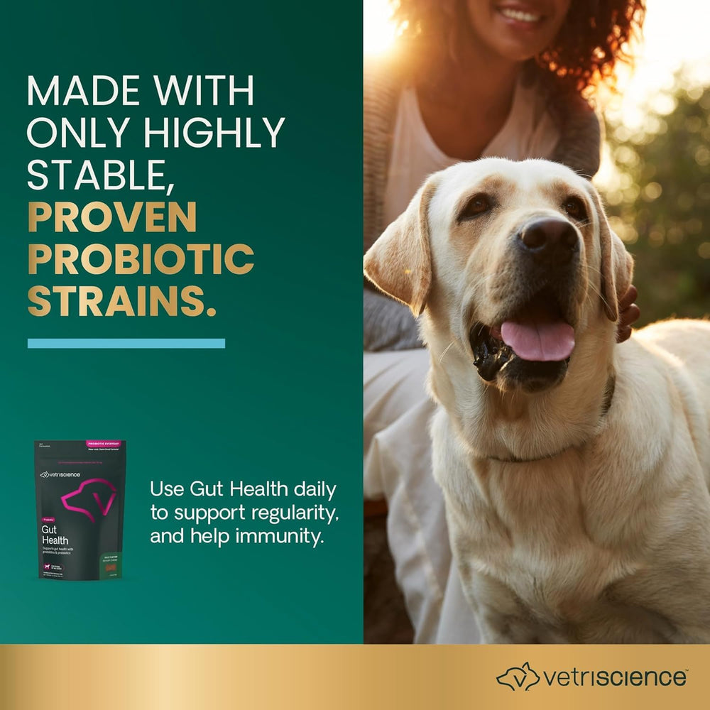 Friandises VetriScience Santé Intestinale goût canard pour chien.