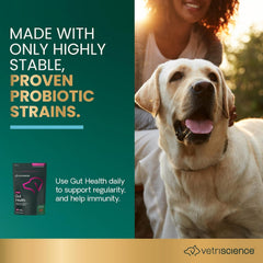 Friandises VetriScience Santé Intestinale goût canard pour chien.