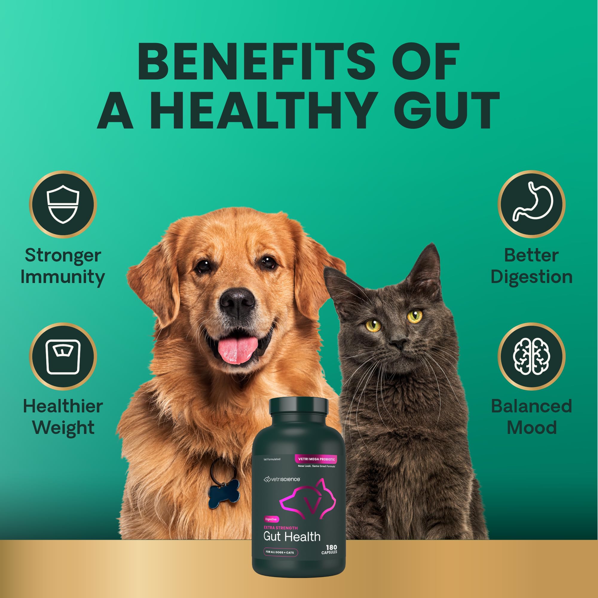VetriScience Santé Intestinale – dose quotidienne indiquée pour un usage pratique.