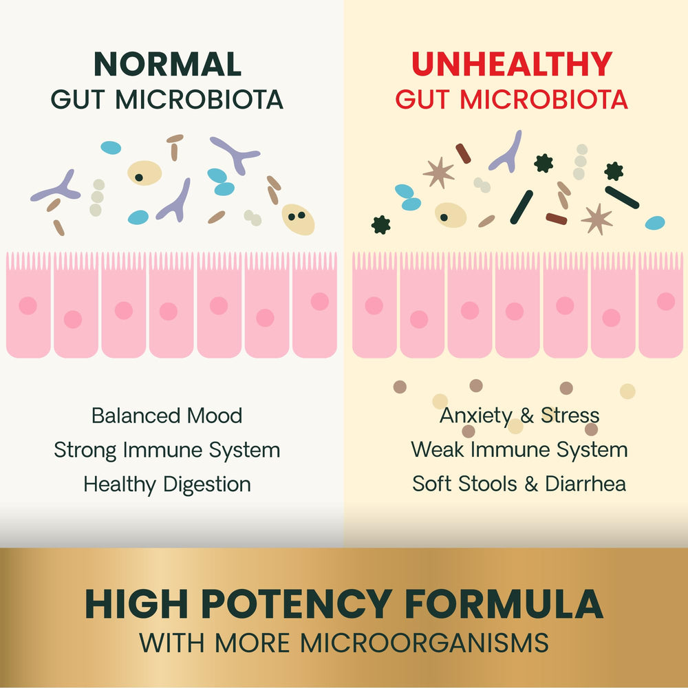 VetriScience Santé Intestinale – emballage clair avec étiquette et traçabilité NASC.