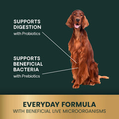 Friandises VetriScience Santé Intestinale avec prébiotiques FOS pour chien.