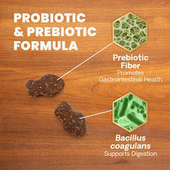 VetriScience Santé Intestinale régularité-selles chat – aide à des selles plus consistantes