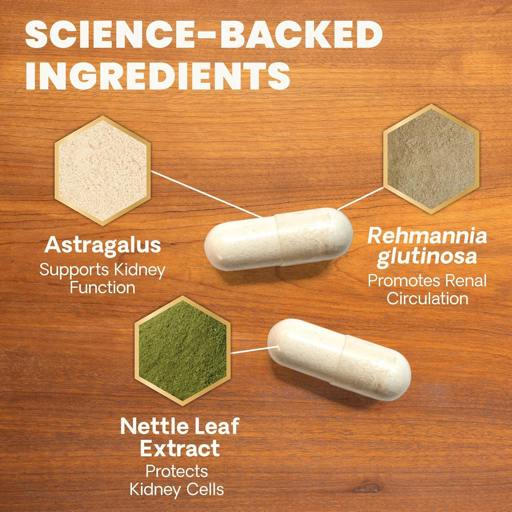 Antioxydants et champignons protégeant les cellules rénales.