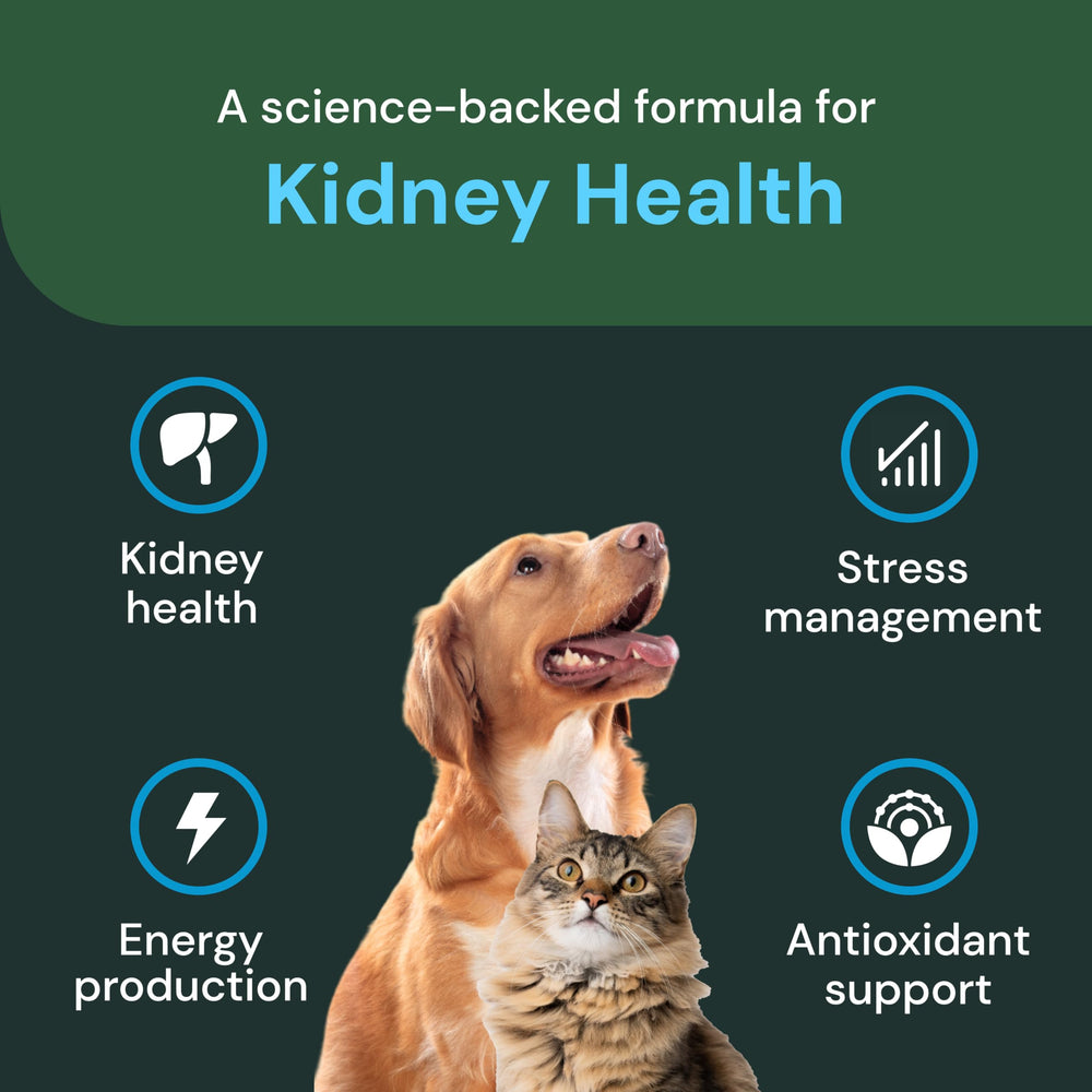 Utilisation quotidienne recommends chez chiens et chats avec VetriScience.