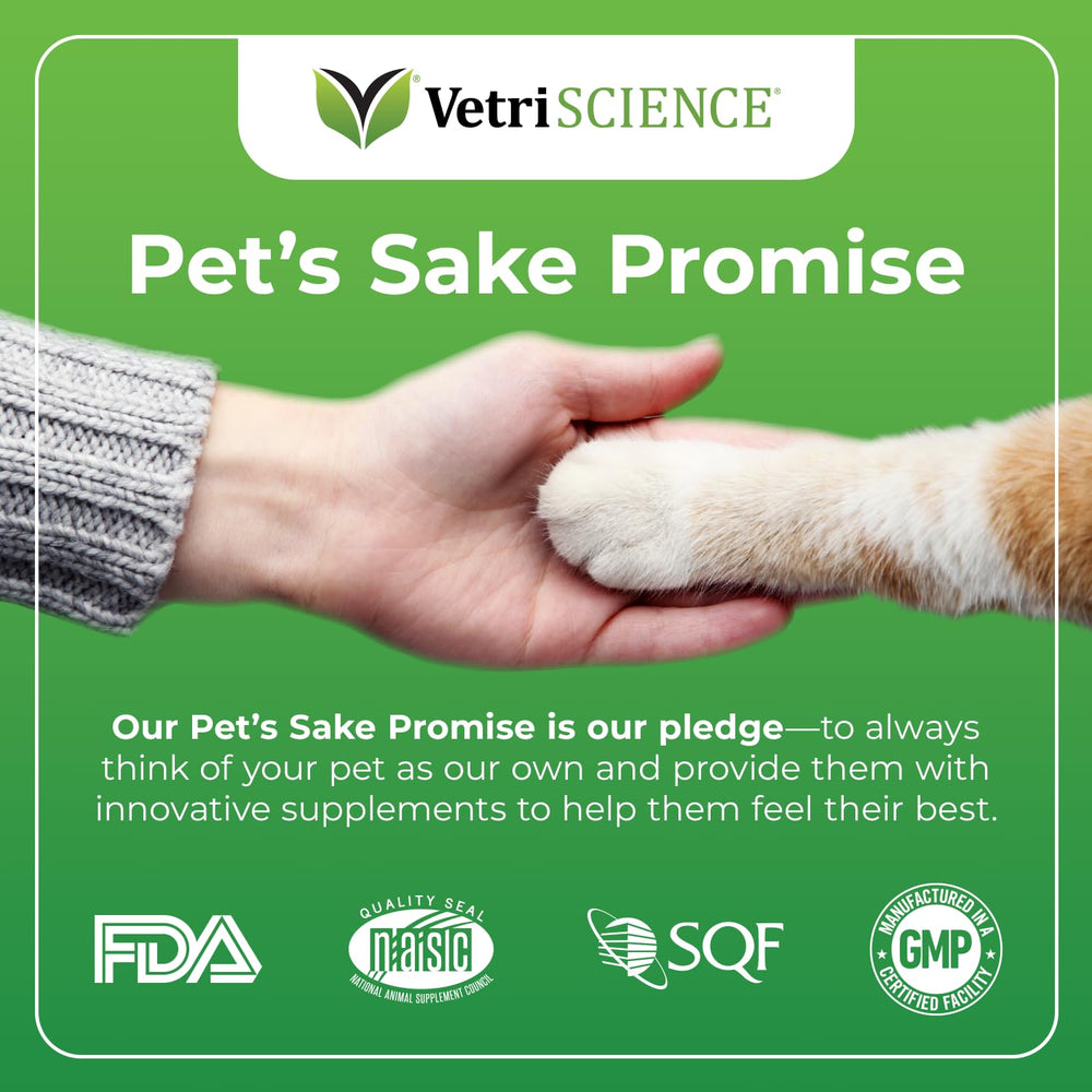 Friandises VetriScience Senior 27+, goût poisson, faciles à administrer et appréciées par les chats.