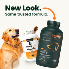 VetriScience tablettes-chewables saveur poulet pour chien.