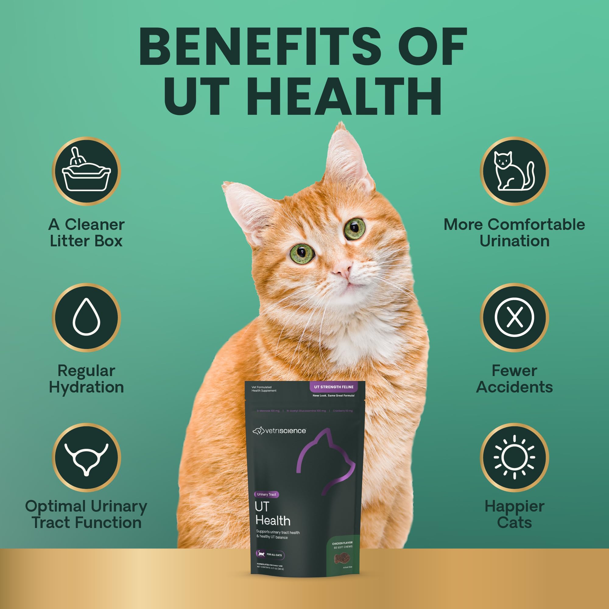 UT Health VetriScience goût foie de poulet apprécié des chats