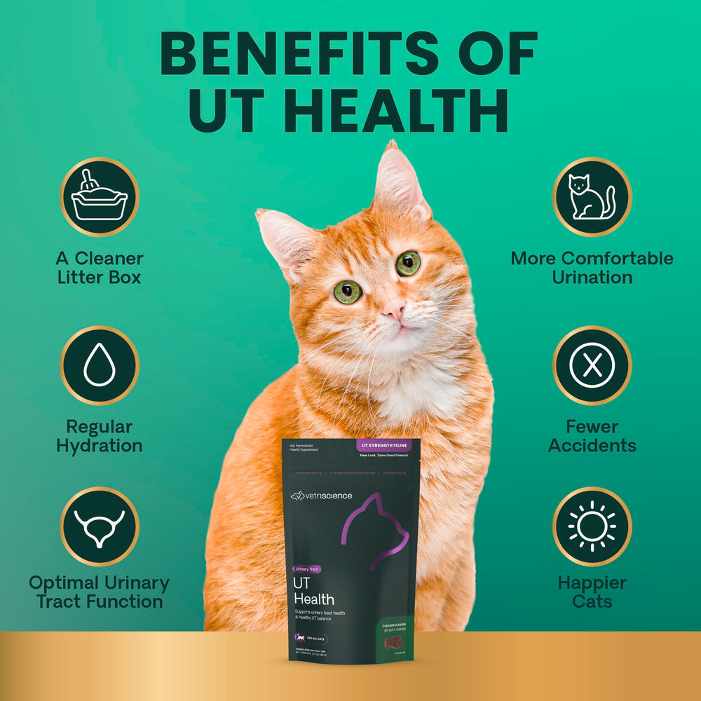 UT Health VetriScience goût foie de poulet apprécié des chats