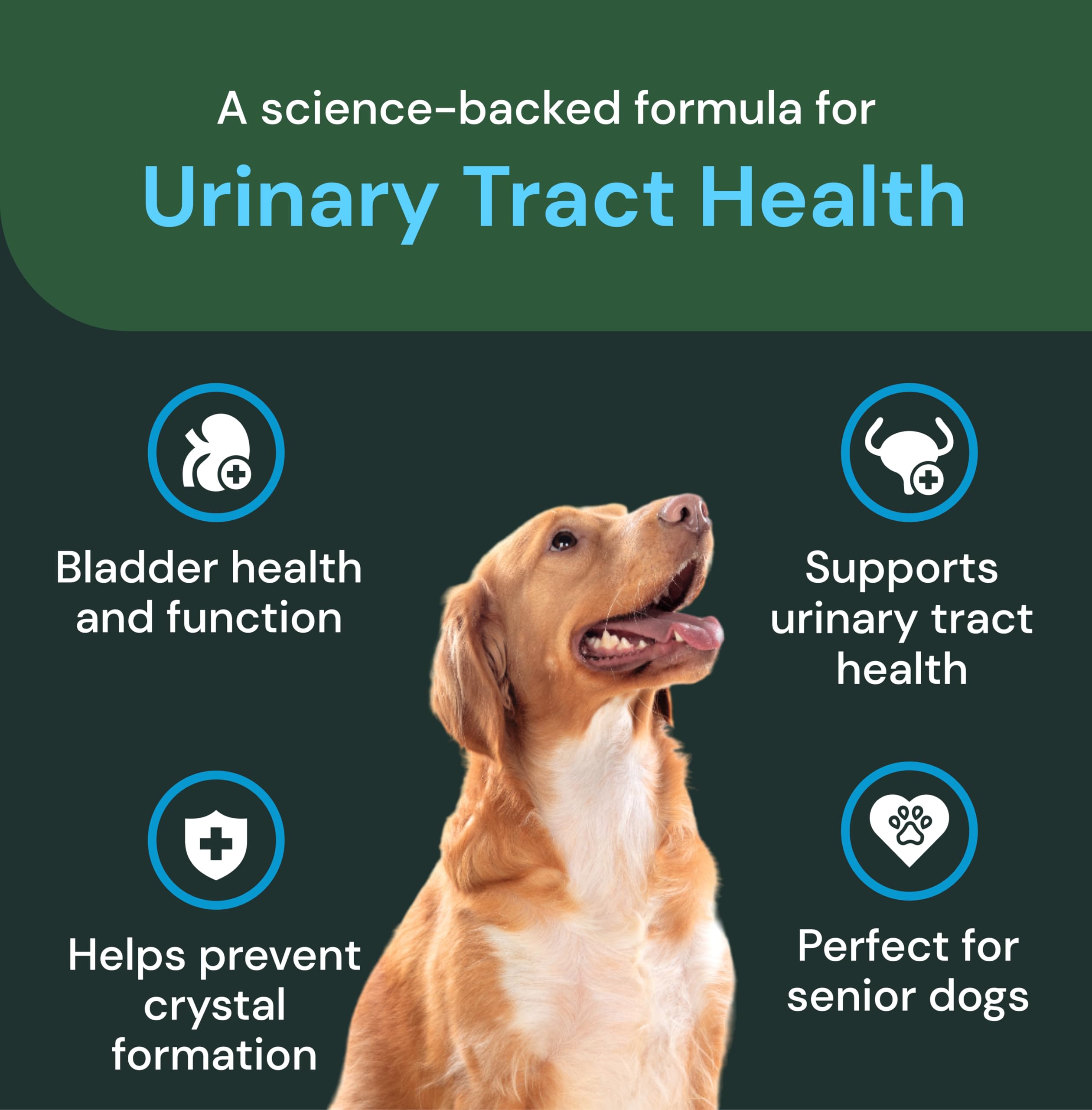 VetriScience UT Health Chews, ganedenbc30: probiotique inclus pour la santé générale.