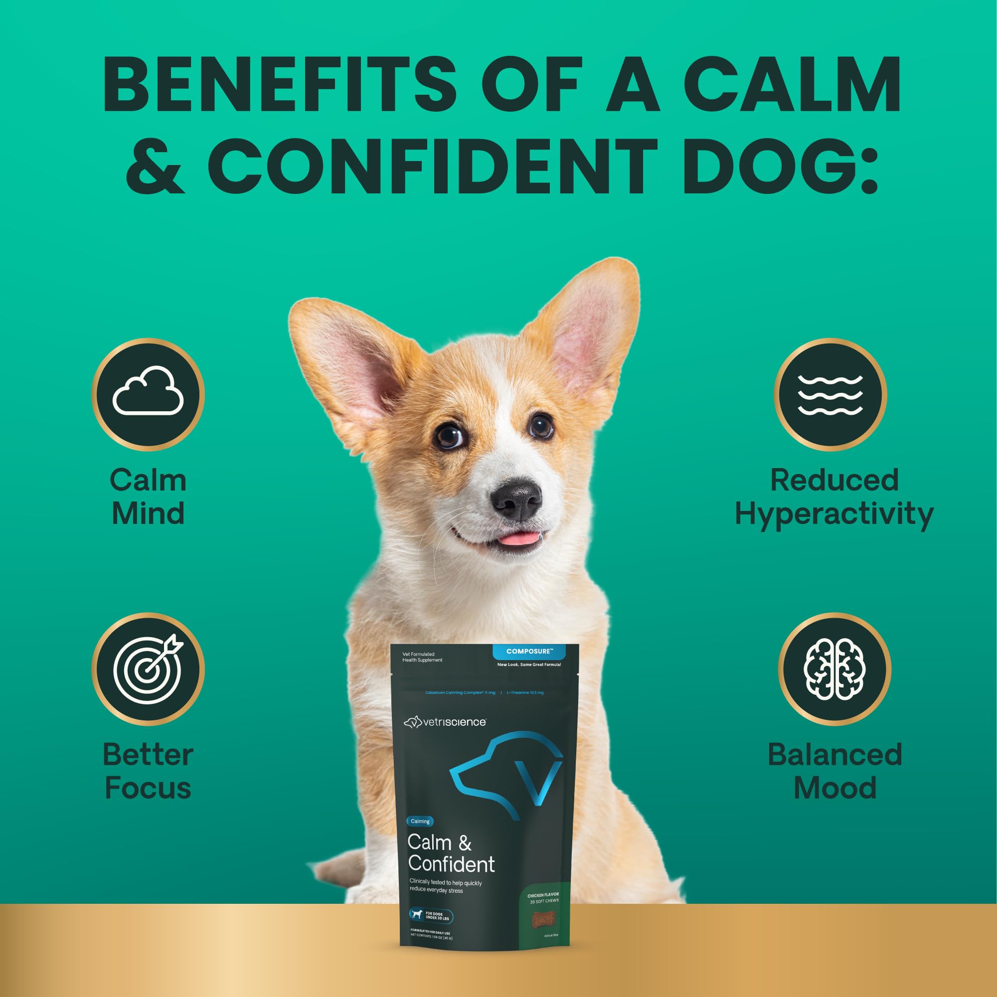 VETRISCIENCE Calm & Confident – utilisation avant orages pour chiens.