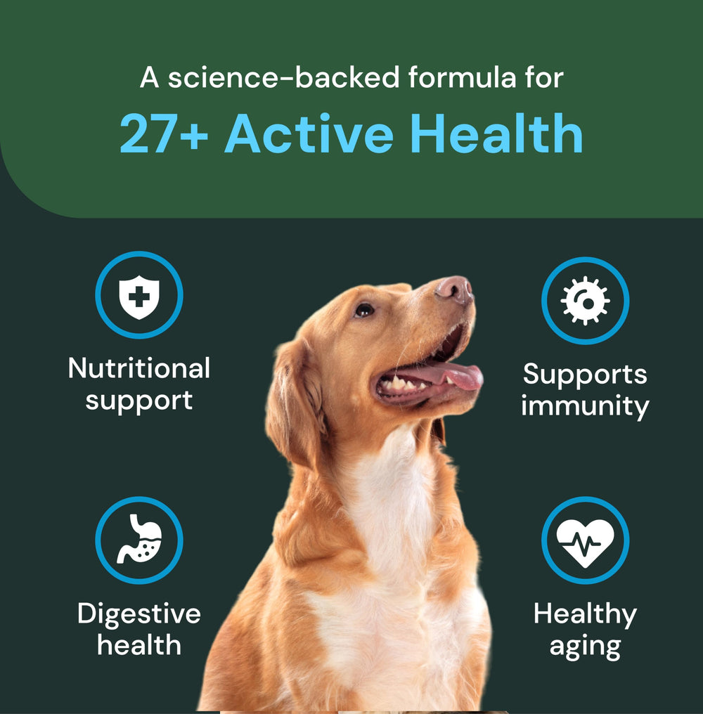 Probiotiques et nutriments VetriScience 27+ pour une digestion équilibrée.