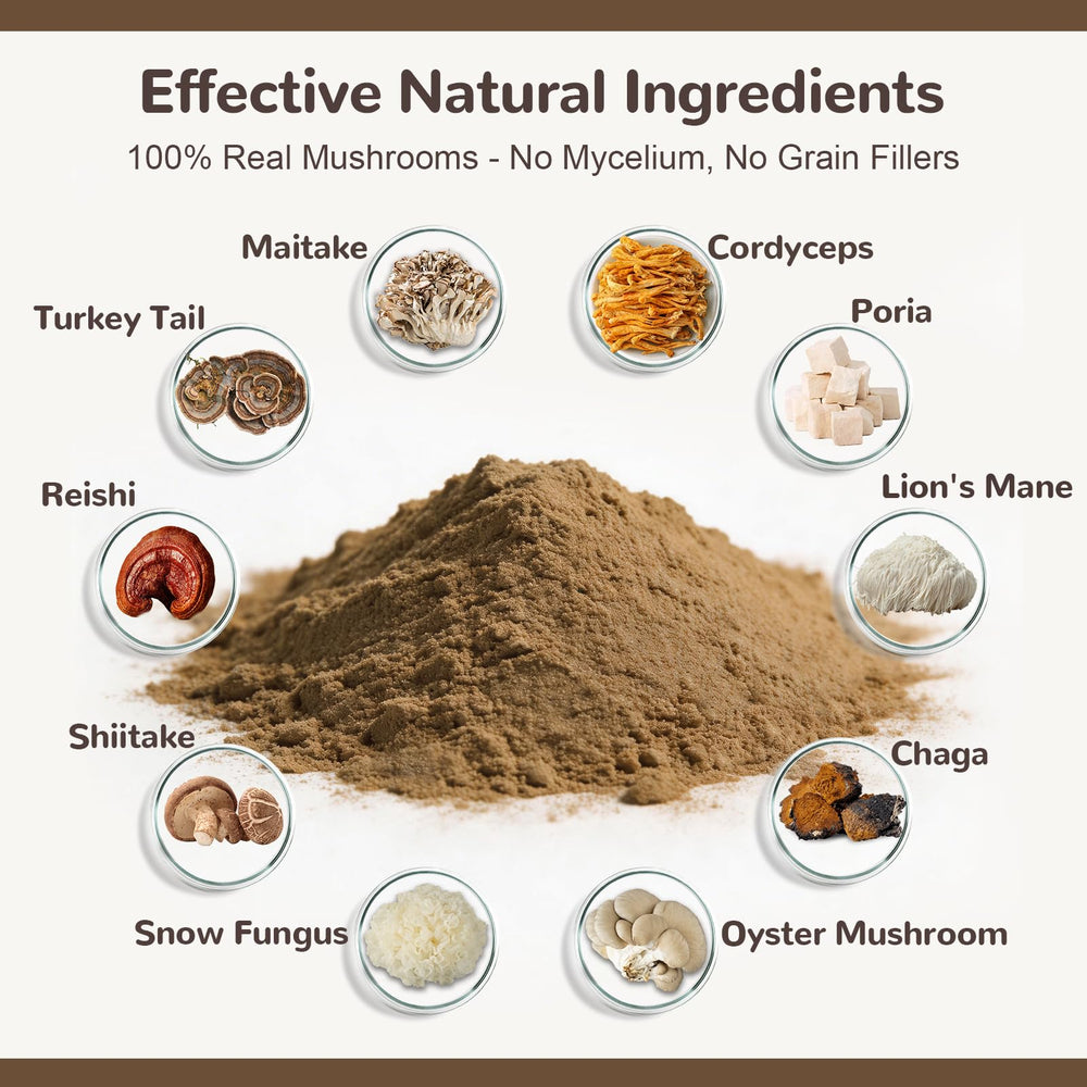 Vetriuntrix bol de poudre prêt à être ajouté à l’alimentation