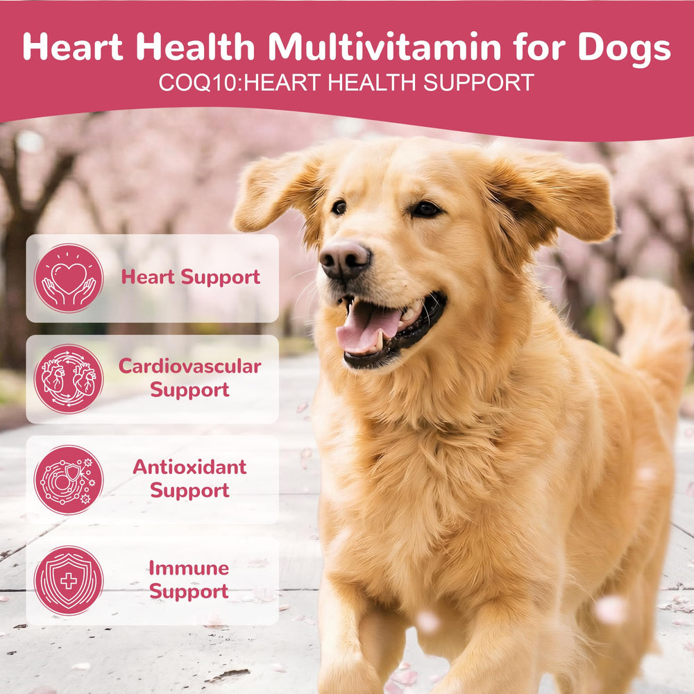 Vetriuntrix Coeur chien emballage pratique pour la dose quotidienne.