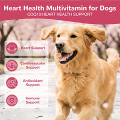 Vetriuntrix Coeur chien emballage pratique pour la dose quotidienne.