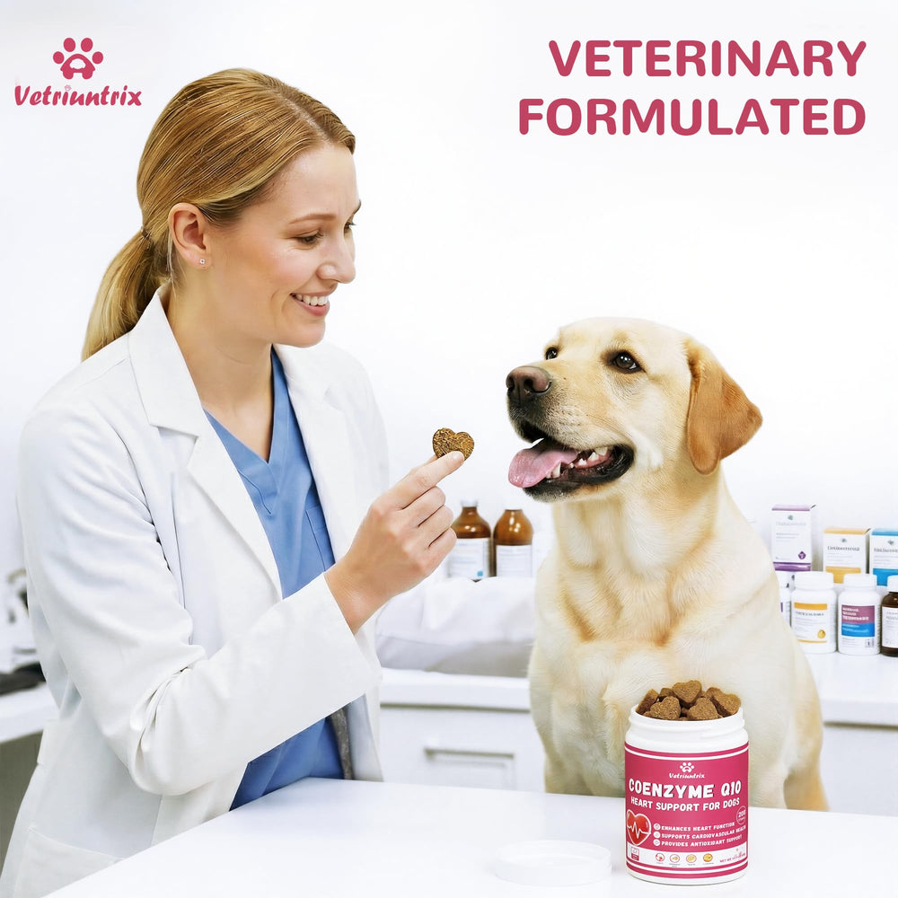 Vetriuntrix Coeur chien energie-vitalite: soutien durable pour chiens actifs et seniors.