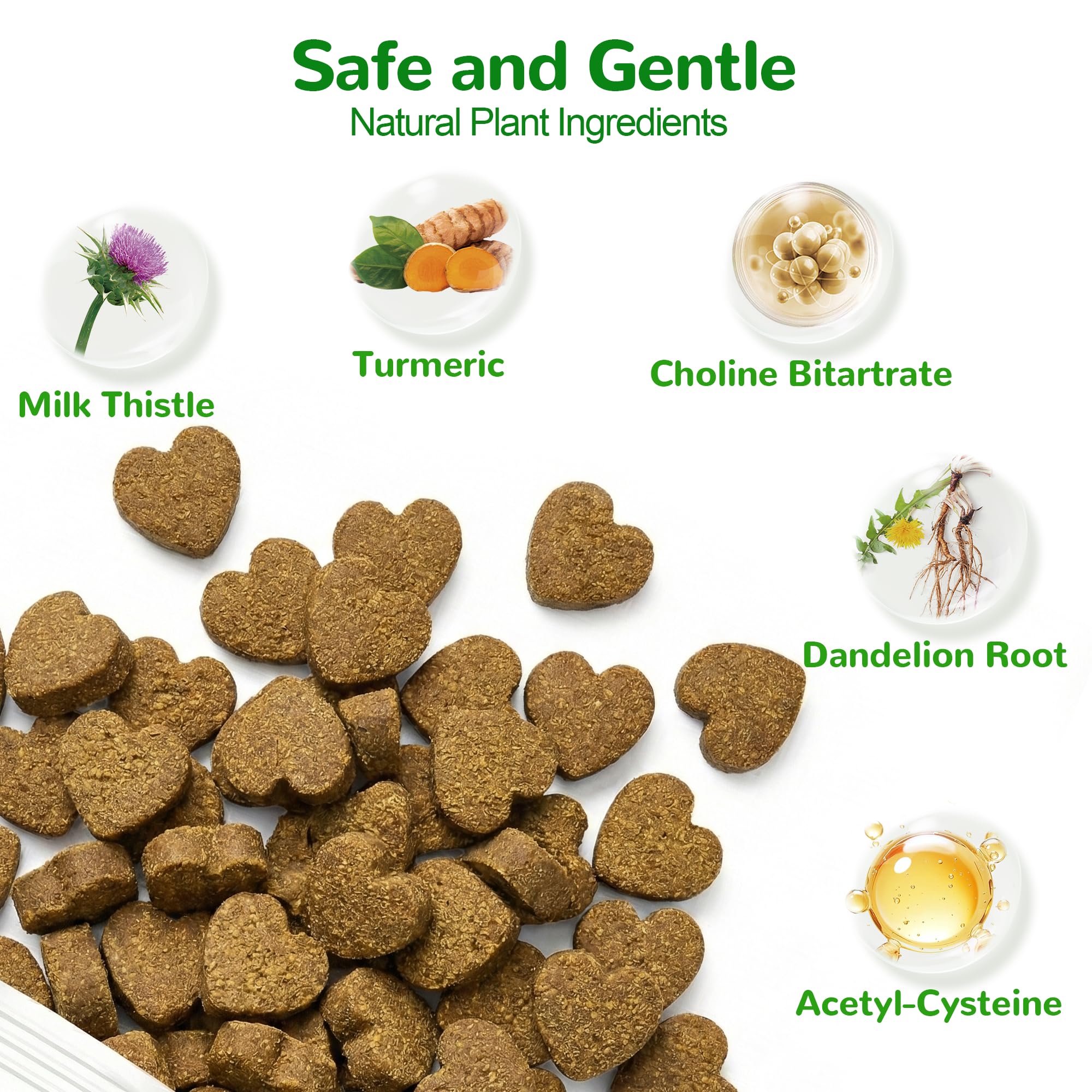 Vetriuntrix Pissenlit – Racine naturelle favorisant le métabolisme.