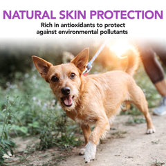 Vet's Best ingredients naturels: levure biere vinaigre pomme et ail.