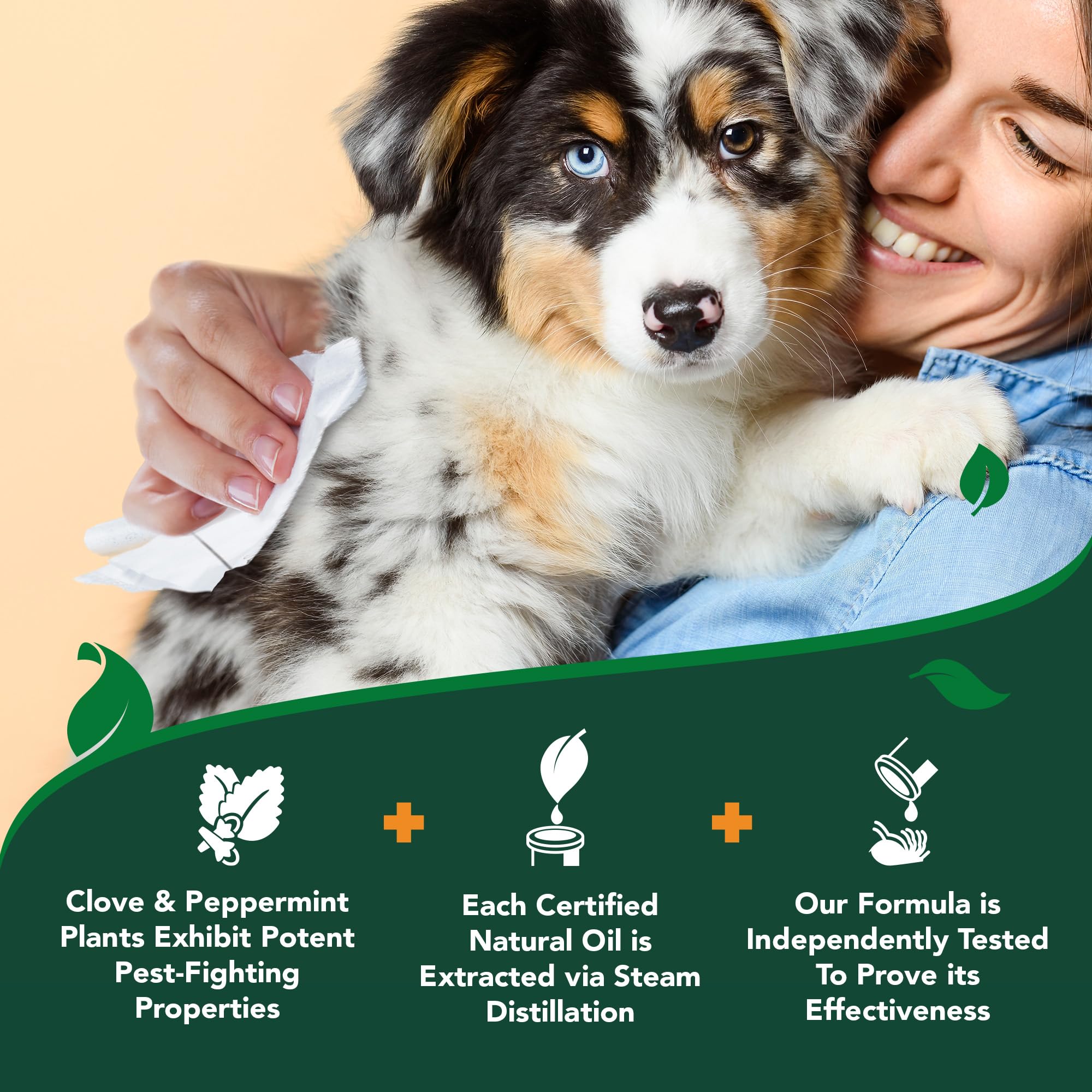 Vet's Best lingettes ventre et queue – accessoire pratique