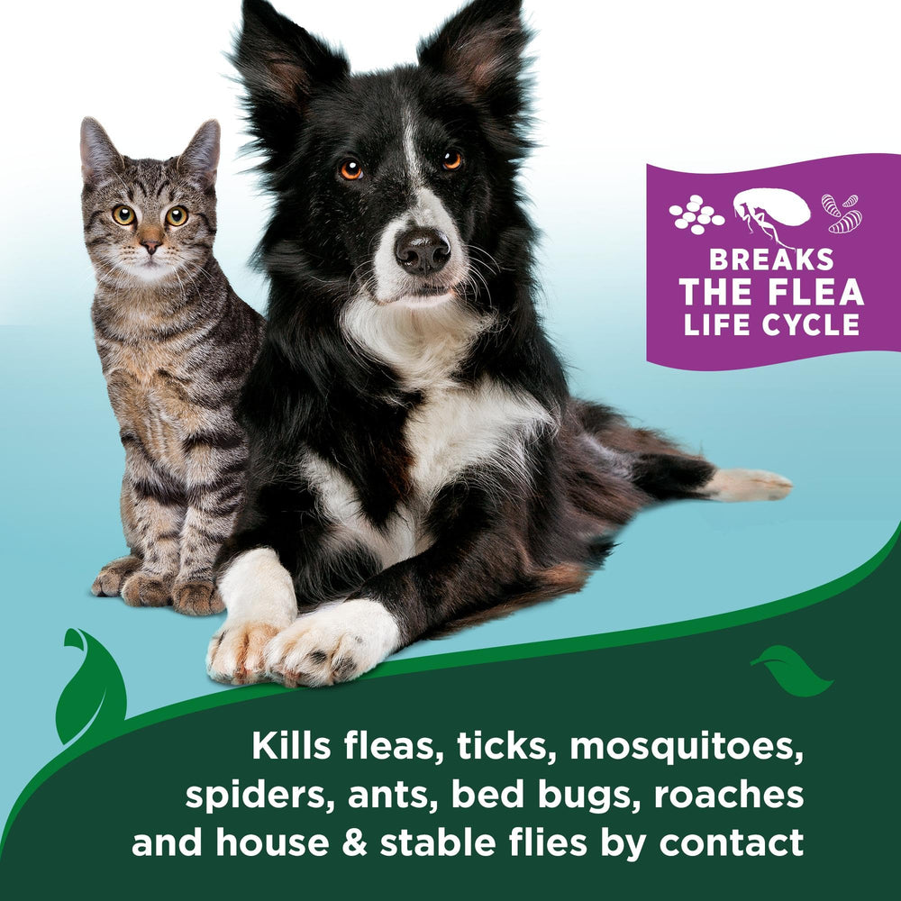 Vet’s Best parfum coton-épice pour une sensation de fraîcheur.