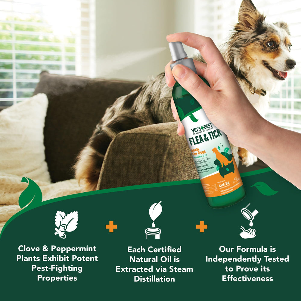 Vet's Best spray parfum frais pour le pelage.