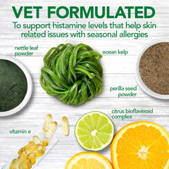 Chien heureux avec Vet's Best, administration simple et pratique.