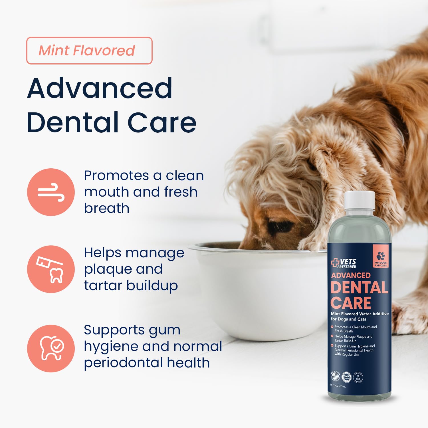 Additif d’eau dentition chien, ajout simple sans brosse pour hydratation buccale.