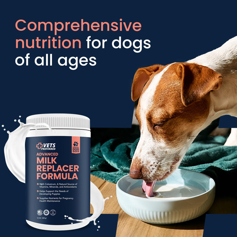 Vets Preferred Pour chiennes gestantes et allaitantes, nutrition adaptée.
