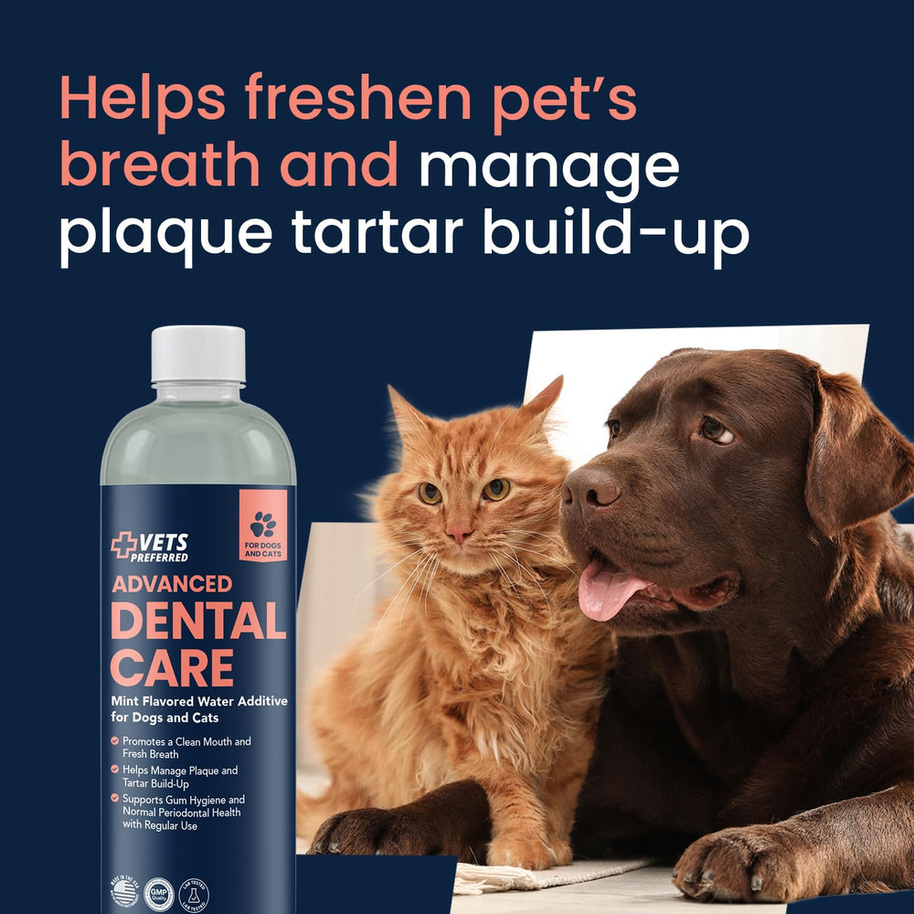 Soin buccal pour chien, visuel axé sur des gencives et une haleine potentiellement meilleure.