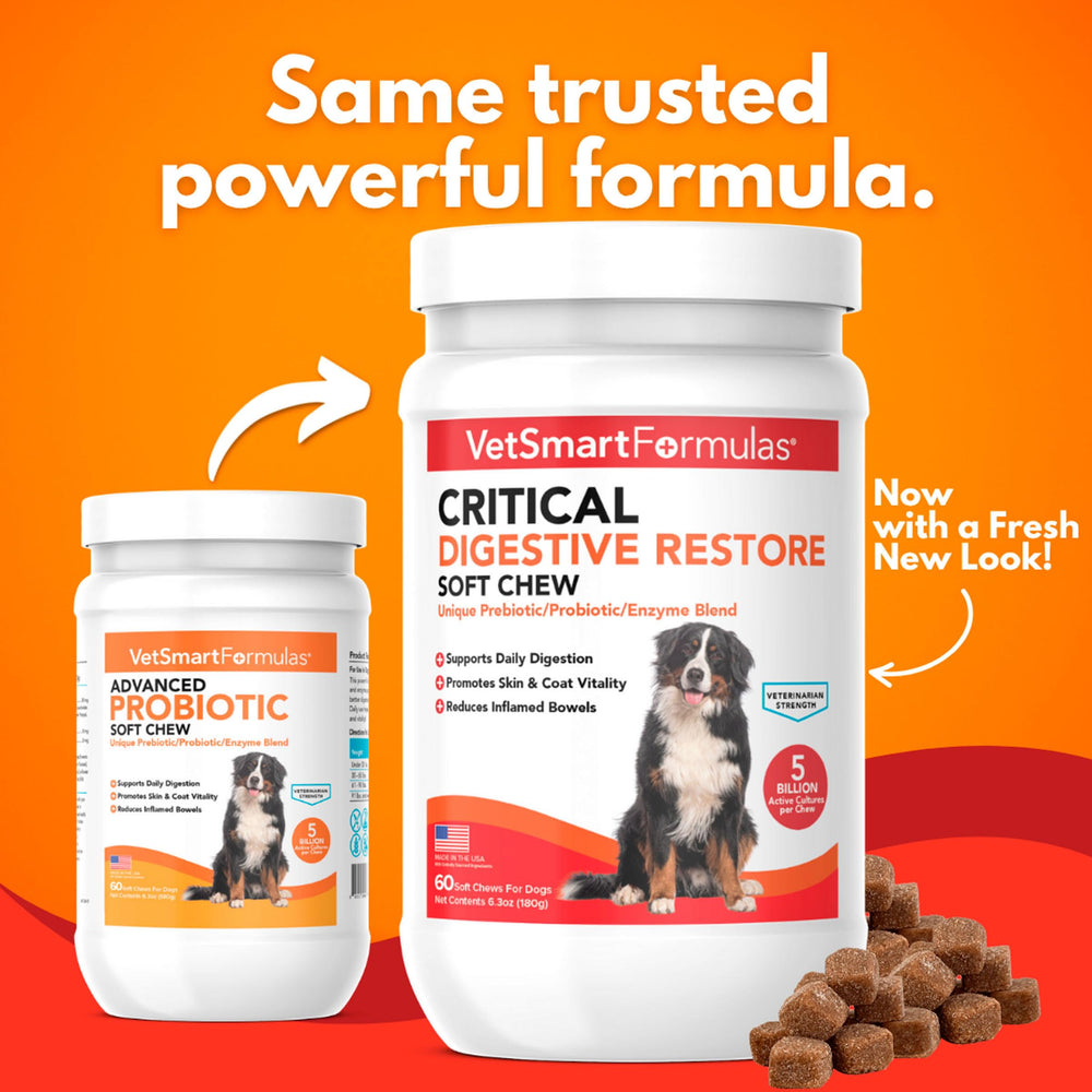 VetSmart Formulas Critical Digestive Restore - friables-masticables pour chiens, administration facilitée.