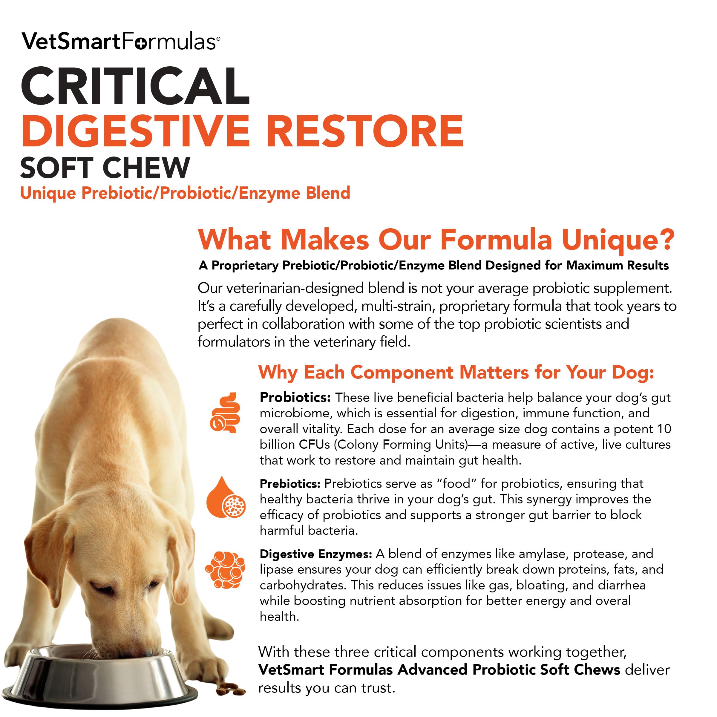 VetSmart Formulas Critical Digestive Restore - ingrédients potiron-brocoli, fibres et soutien immunitaire.