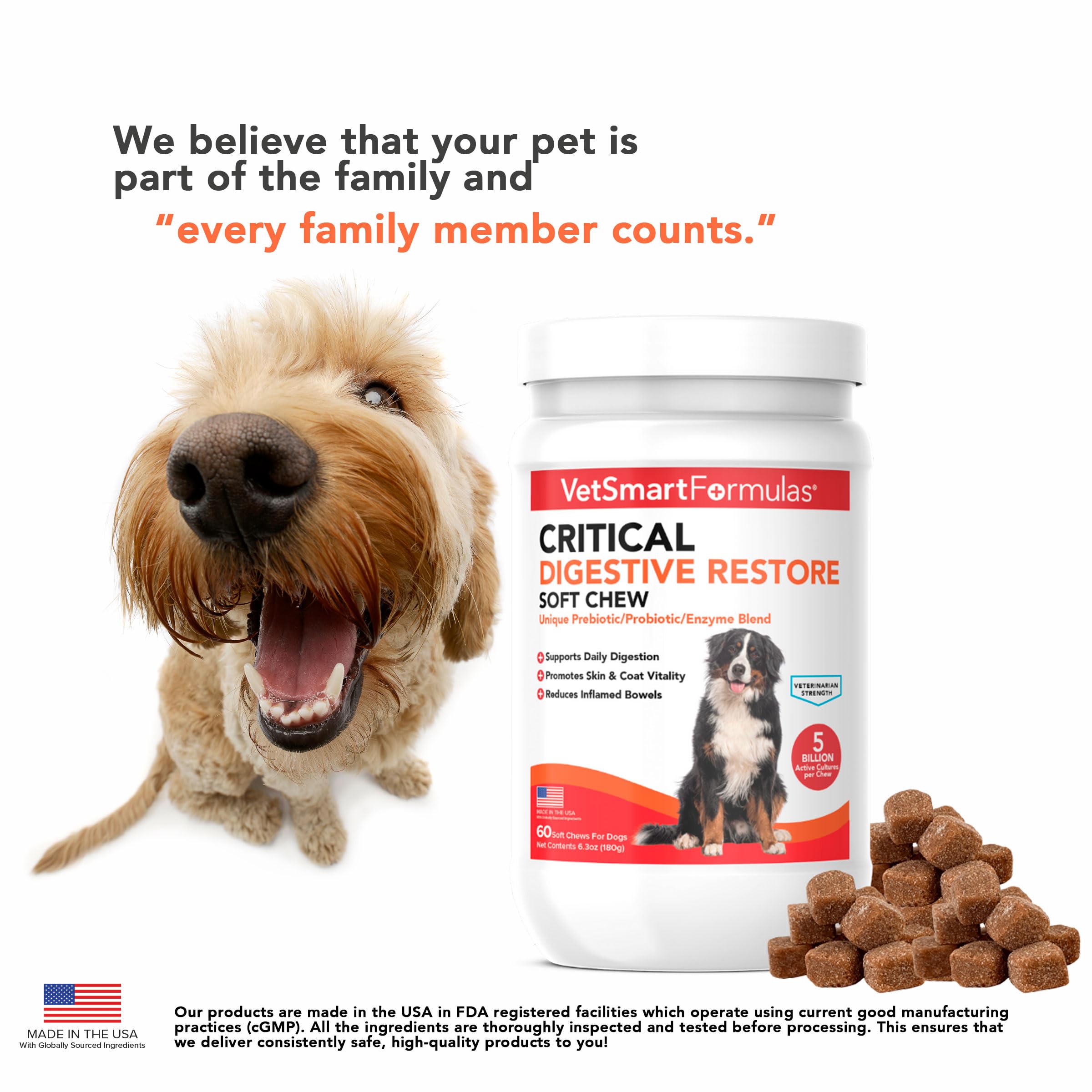VetSmart Formulas Critical Digestive Restore - mélange probiotiques et enzymes, absorption potentielle.