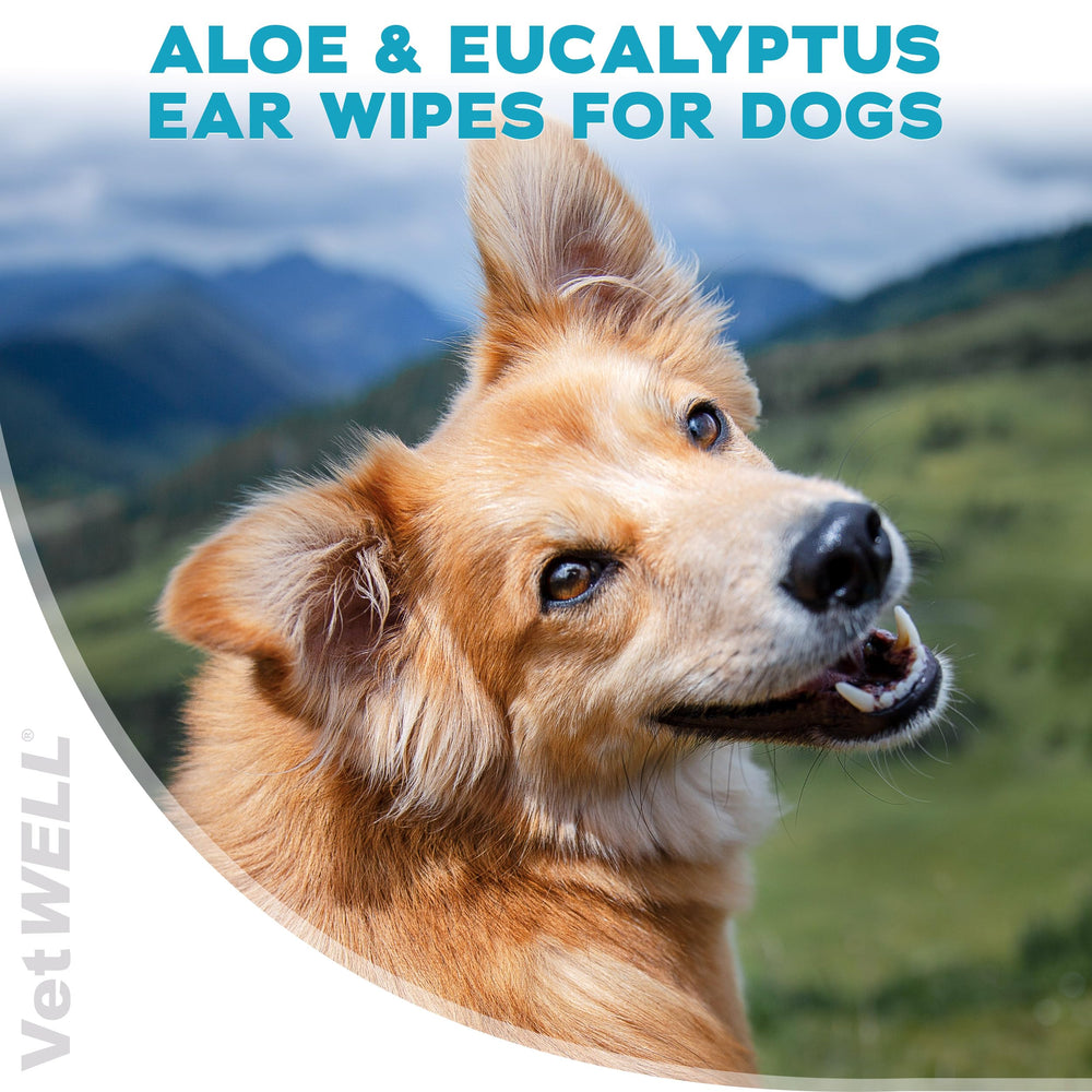 EarWELL VetWELL – Lingettes oreilles chien: réduction possible des odeurs.