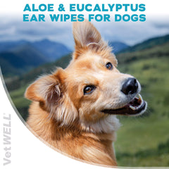 EarWELL VetWELL – Lingettes oreilles chien: réduction possible des odeurs.