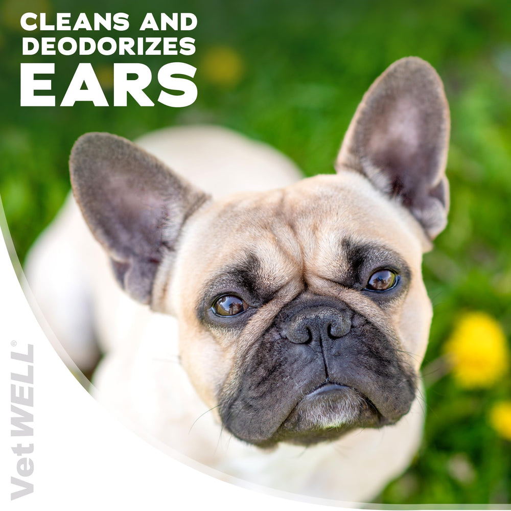 VetWELL gouttes-oreilles embout-applicateur pratique pour précision