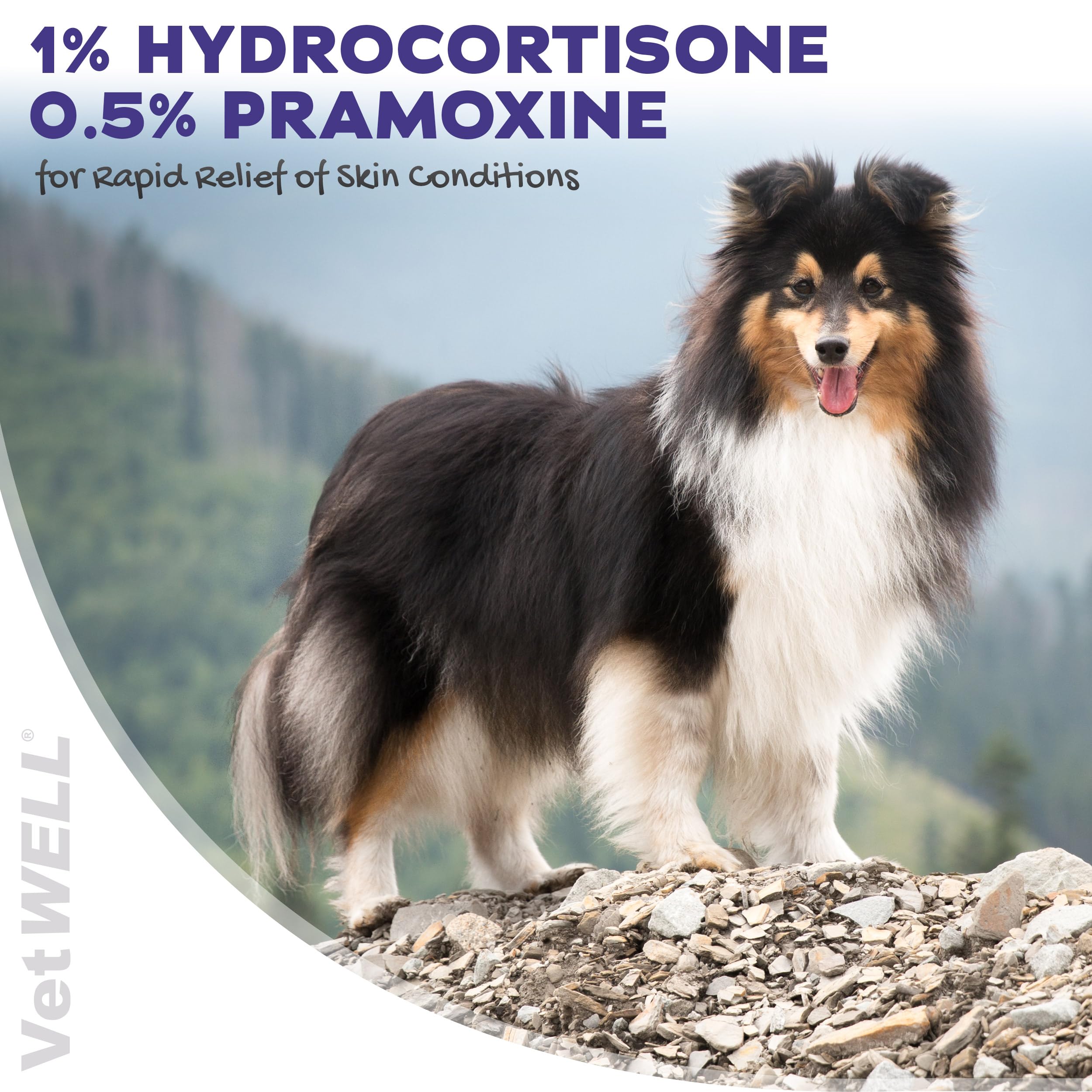 VetWELL Hydrocortisone Spray sur zone irritée du chat – soulagement rapide.