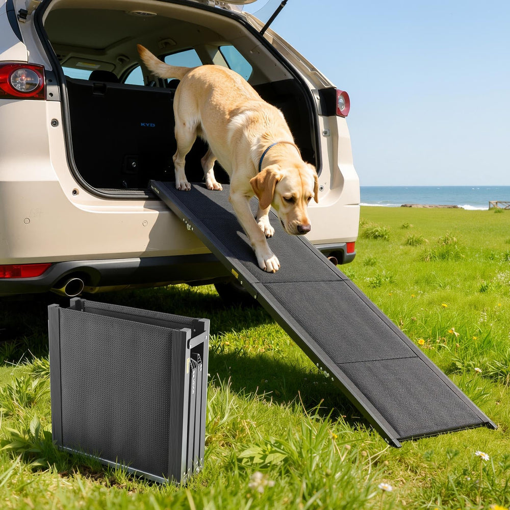 Rampe VEVOR pour chien dans voiture, longueur 71 pouces, solide et stable.