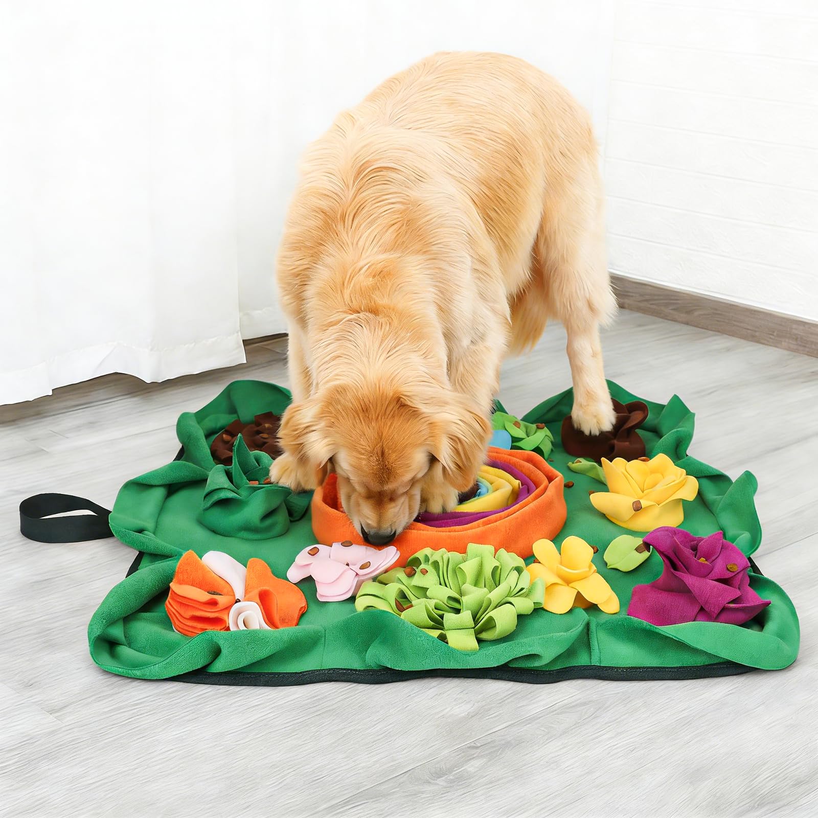 Zones cachées pour friandises sur le tapis Vextronic, jeu interactif.