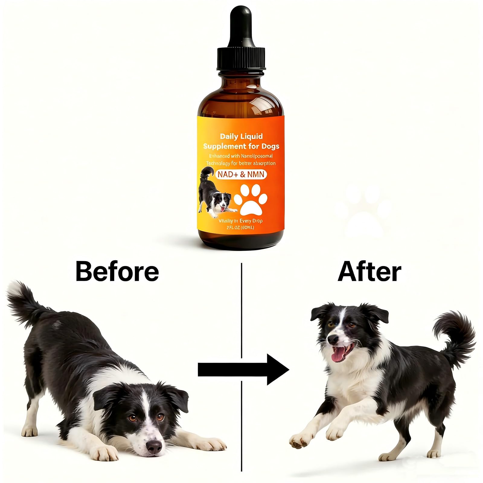 VEYRIC Emballage 60 jours, sérénité pour la routine de soins du chien.