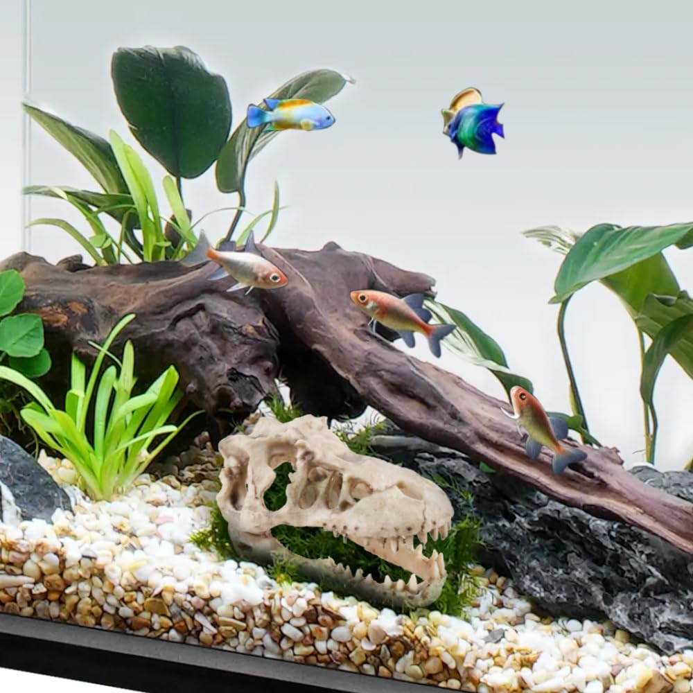 VibeNest crane-dinosaure aquarium installation: prêt à tremper après rinçage.