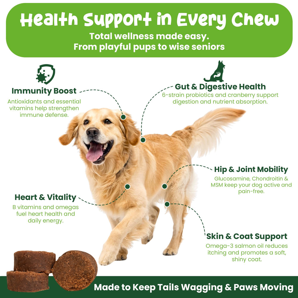 Soutien des hanches et articulations pour chien actif.