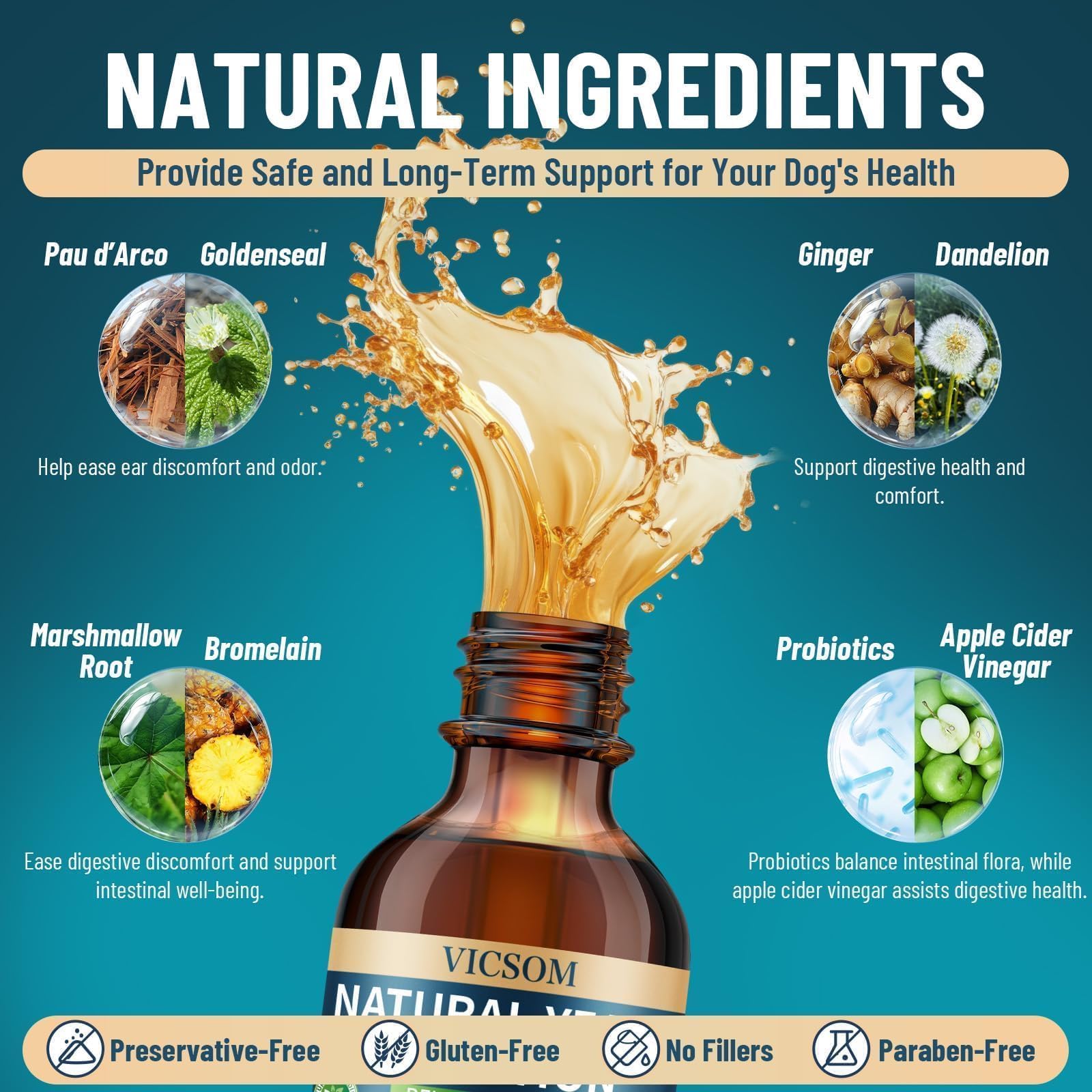 VICSOM: ingrédients naturels – gingembre et pissenlit pour un soutien global.