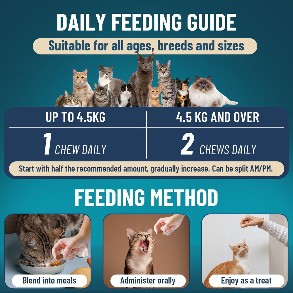 VICSOM format facile d'utilisation pour chats difficiles à séduire.