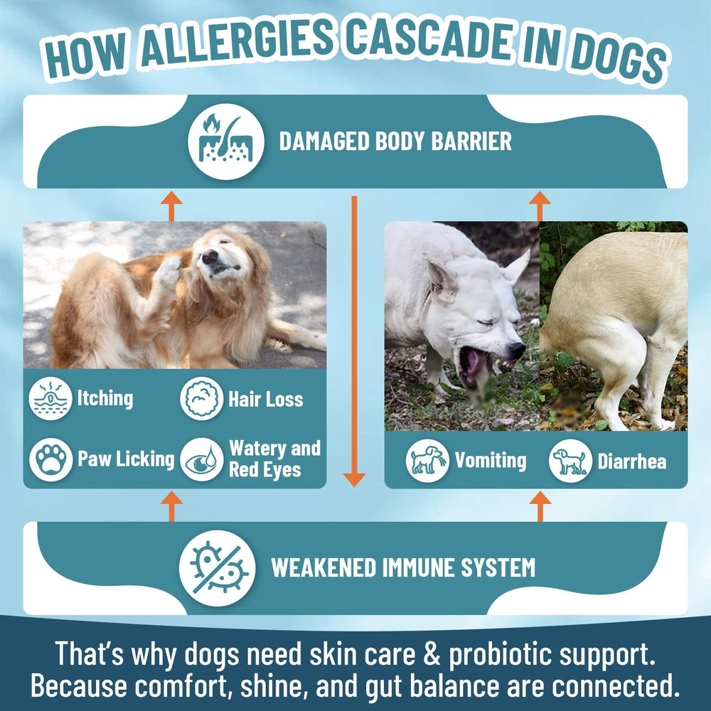VICSOM-chien-peau-nourrie: peau et pelage plus sains et hydratés.
