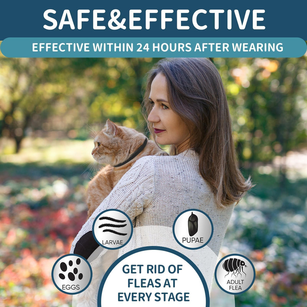 Collier VICSOM étanche pour chats, adapté à l’eau.