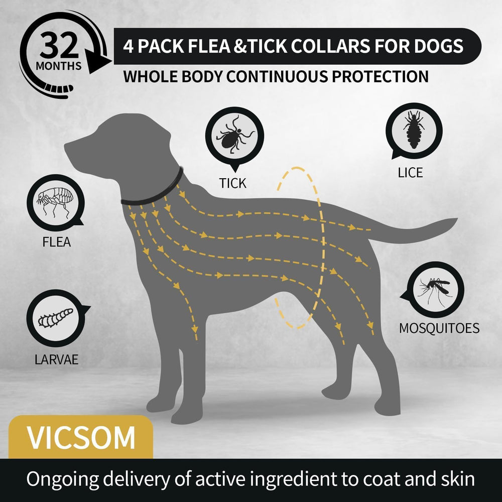 Collier VICSOM imperméable, idéal pour les chiens actifs sous la pluie.